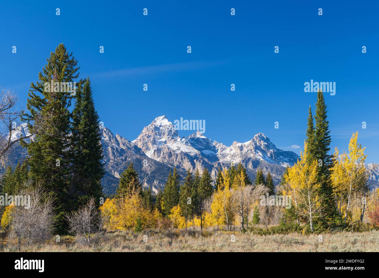 The Grand Tetons mountain range with fall foliage color in The Grand ...