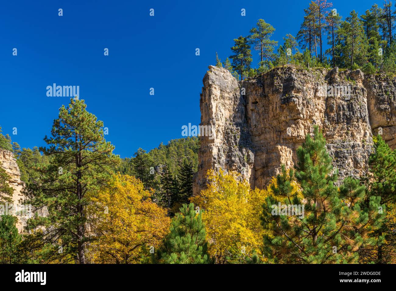 Canyon cliffs and fall foliage color in Spearfish Canyon, South Dakota