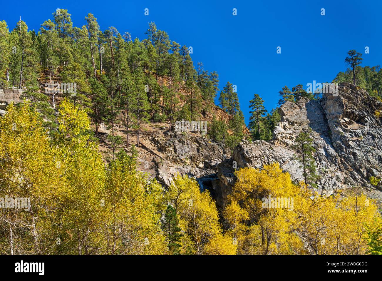 Canyon cliffs and fall foliage color in Spearfish Canyon, South Dakota