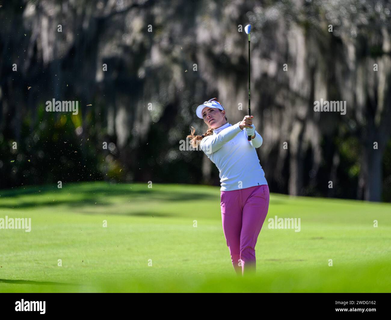 2024 0323 jpg hires stock photography and images Alamy