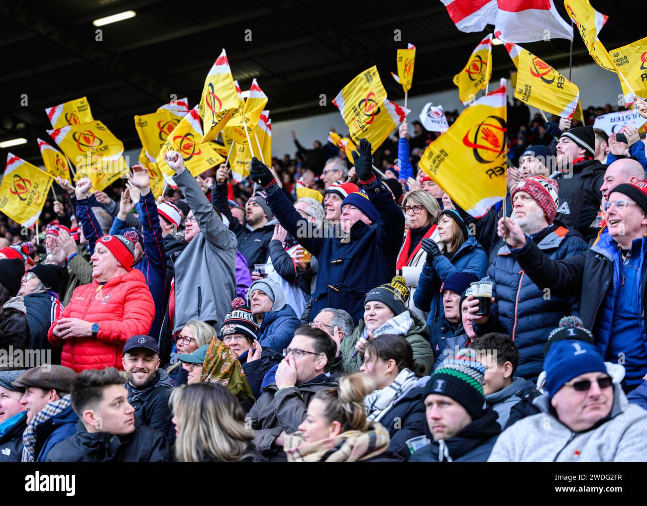 LONDON, UNITED KINGDOM. 20th, Jan 2024. The Ulster Rugby fans during Harlequins and Ulster Rugby - Investec Champions Cup at Stoop Stadium on Saturday, 20 January 2024. LONDON ENGLAND.  Credit: Taka G Wu/Alamy Live News Stock Photo