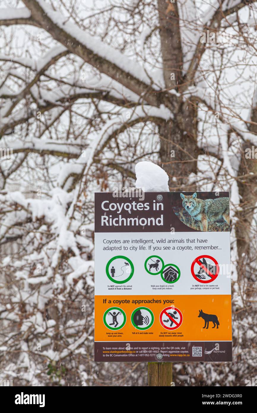Coyote warning sign in Steveston british Columbia Canada Stock Photo