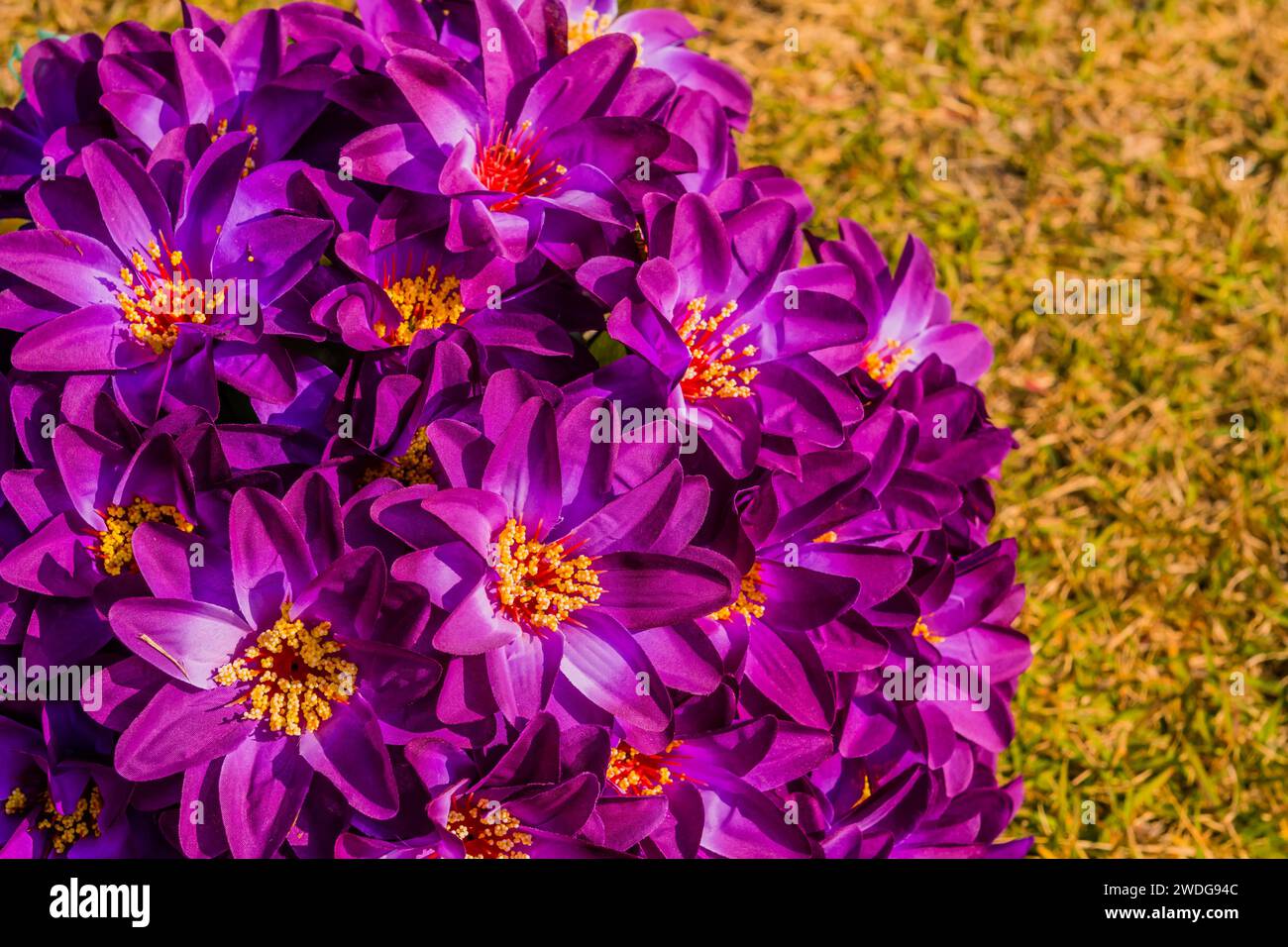 Bouquet of artificial purple flowers with yellow center with grass blurred out in background, South Korea, South Korea Stock Photo