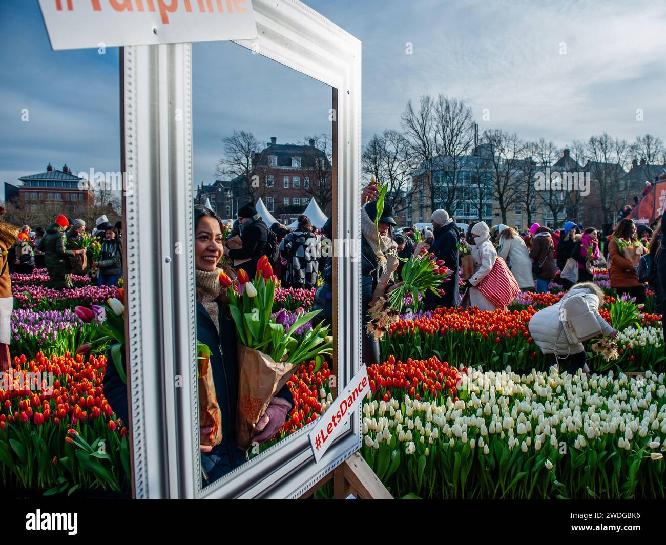 Amsterdam, Netherlands. 20th Jan, 2024. A woman is seen posing with her tulips. Each year on the