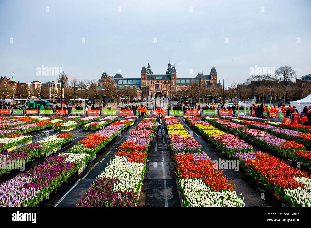Amsterdam, Netherlands. 20th Jan, 2024. A view of the tulip garden before people could entering