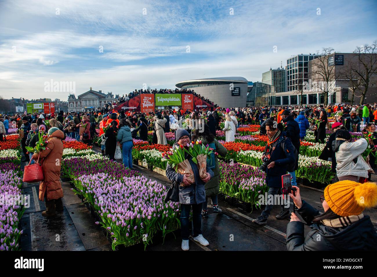 Amsterdam, Netherlands. 20th Jan, 2024. People are seen posing with the tulips for selfies and