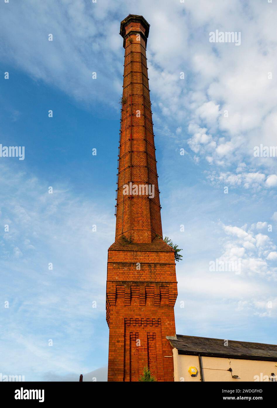 Border Breweries chimney (formerly the Soames Brewery chimney), Tuttle Street, Wrexham, Wrexham County Borough, Wales, UK Stock Photo