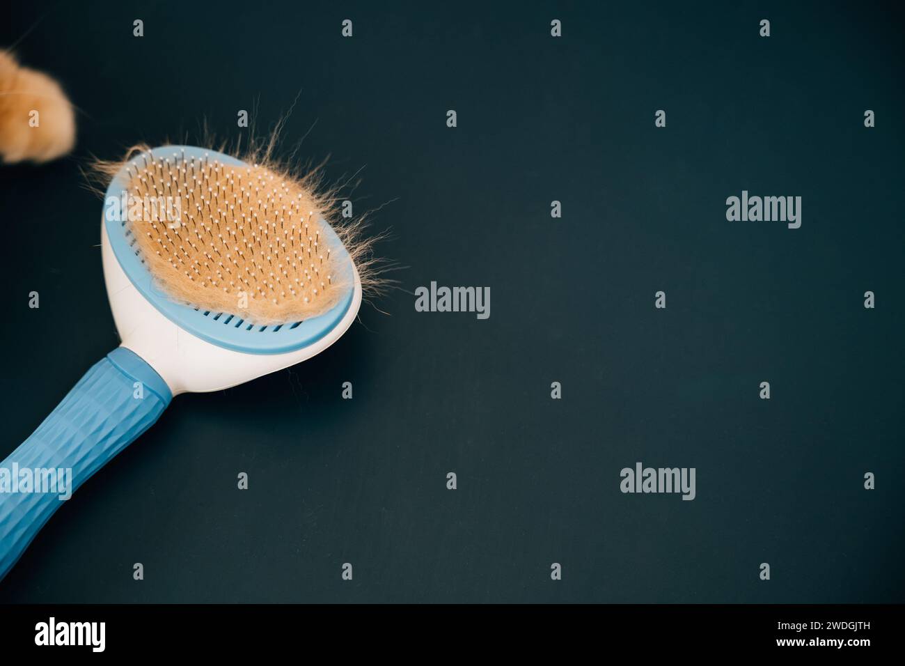 Maintaining pet hygiene, A clump of cat hair and a comb symbolize the