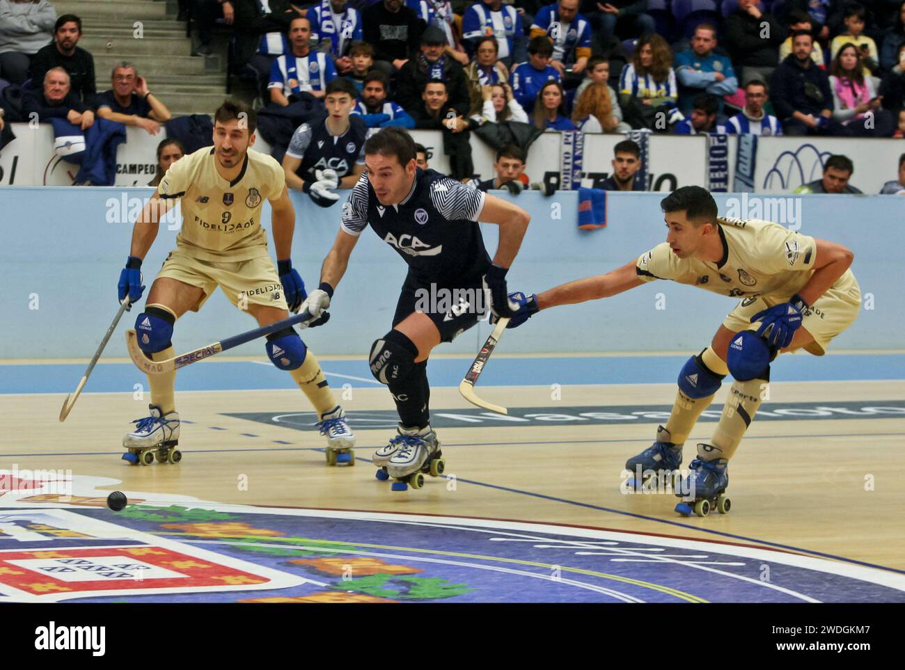 Porto, Portugal. 20th Jan, 2024. Porto, 01/20/2024 - Futebol Clube do Porto hosted Famalicense Atlético Clube this afternoon, at the Pavilhão do Dragão Arena, in a game counting for the 14th Journey - National Roller Hockey Championship - 2023/2024. Juan García; Rafa; Carlo Di Benedetto. (José Carmo/Global Imagens) Credit: Atlantico Press/Alamy Live News Stock Photo