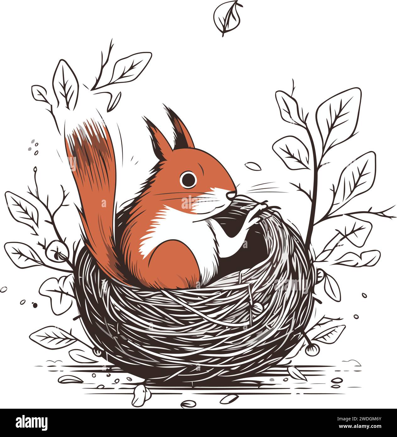 Hand drawn vector illustration of a cute red squirrel in a nest Stock