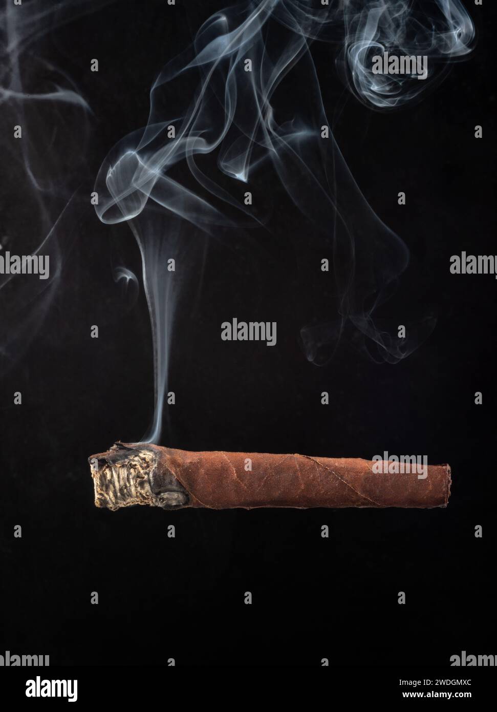 Cigar burning with smoke white on black  background - Toscano cigar   burning isolated on black Stock Photo