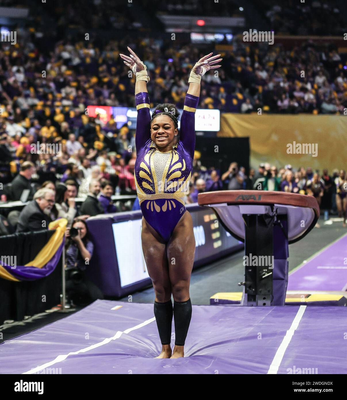 Baton Rouge, LA, USA. 19th Jan, 2024. LSU's Amari Drayton lands her