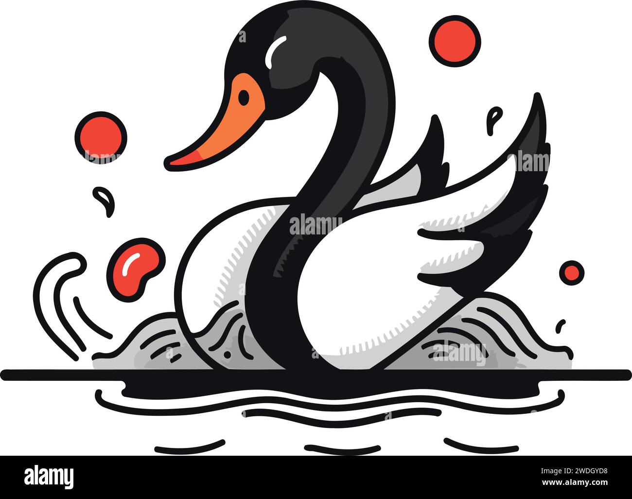 Black swan swimming in the water. Vector illustration on white