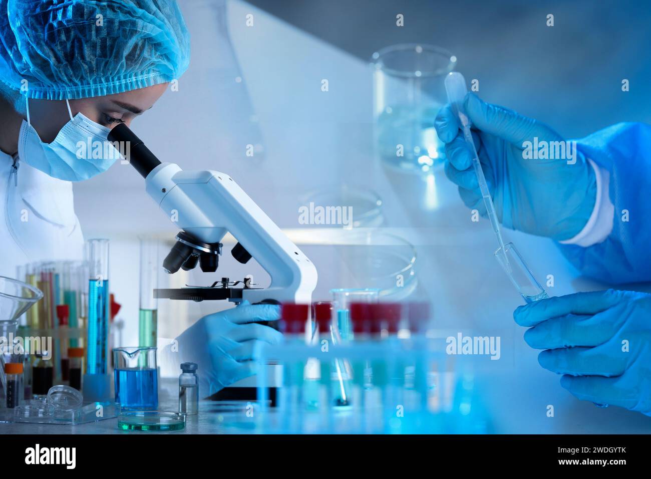 Testing, analysis and experiment. Laboratory employees working ...