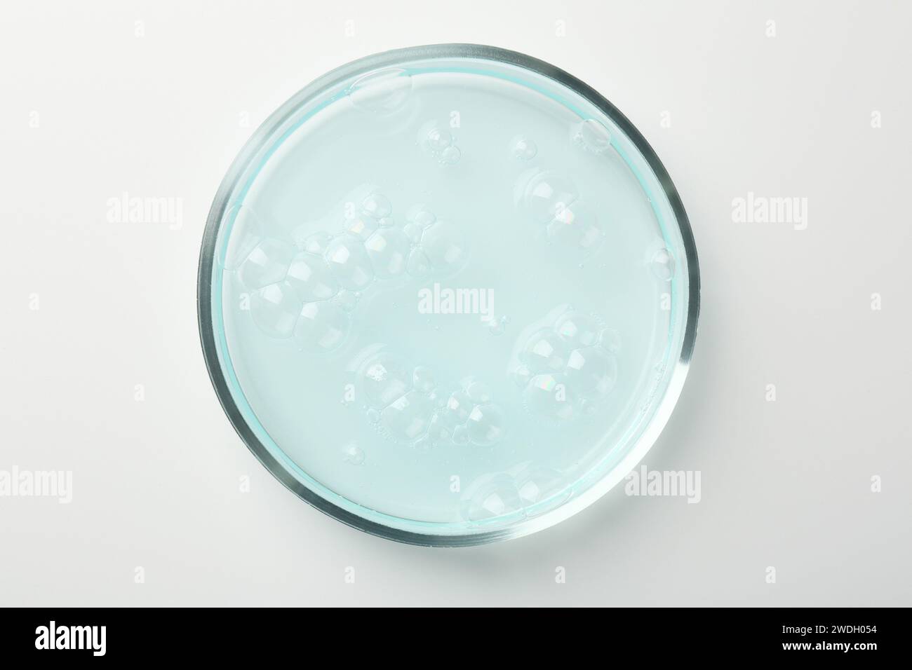 Petri dish with light blue liquid sample on white background, top view ...