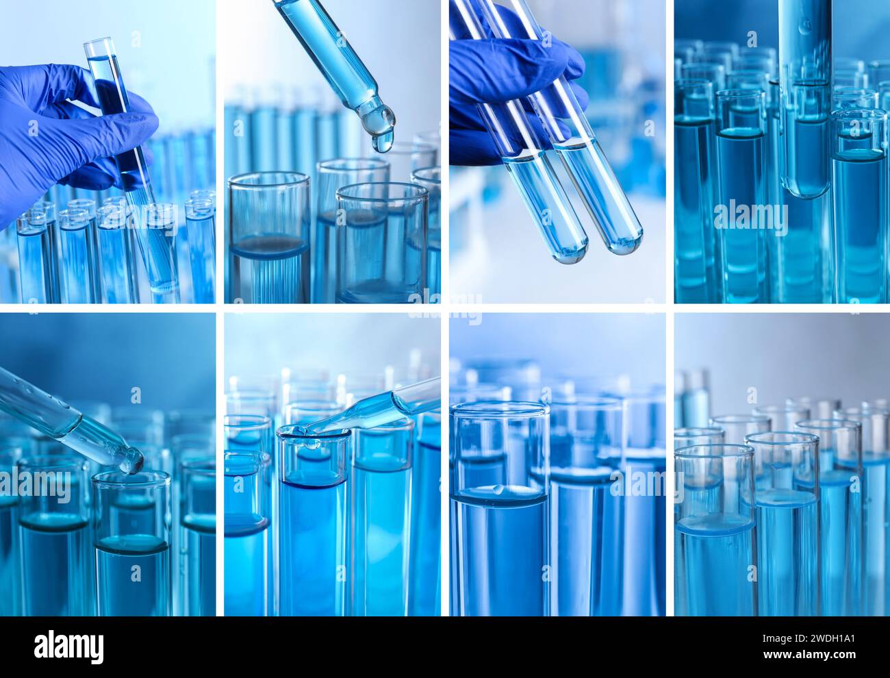 Laboratory glassware with samples and workers, collage Stock Photo Alamy