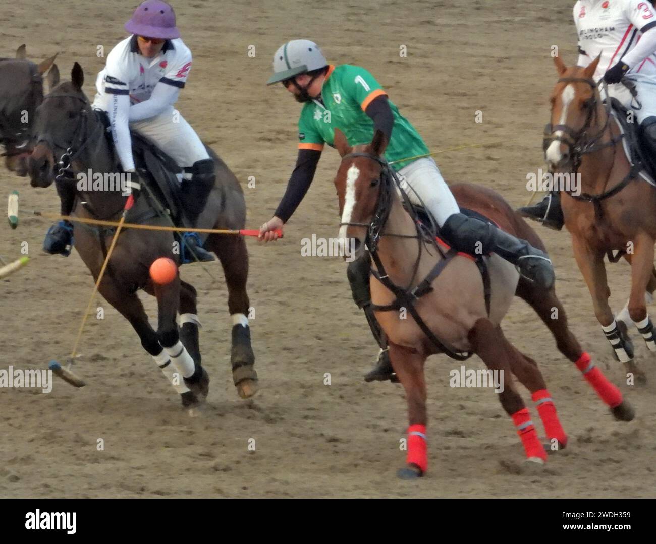 The inspired arena polo test match hi res stock photography and images Alamy