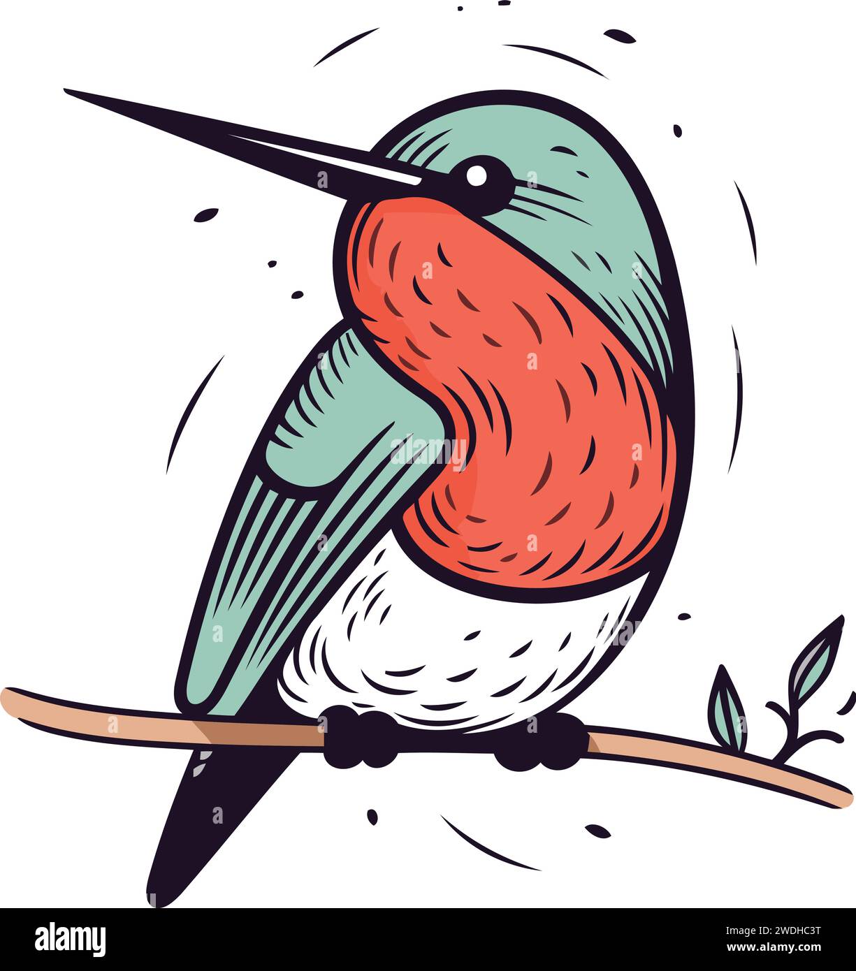Hand drawn vector illustration of a red bellied kingfisher Stock Vector