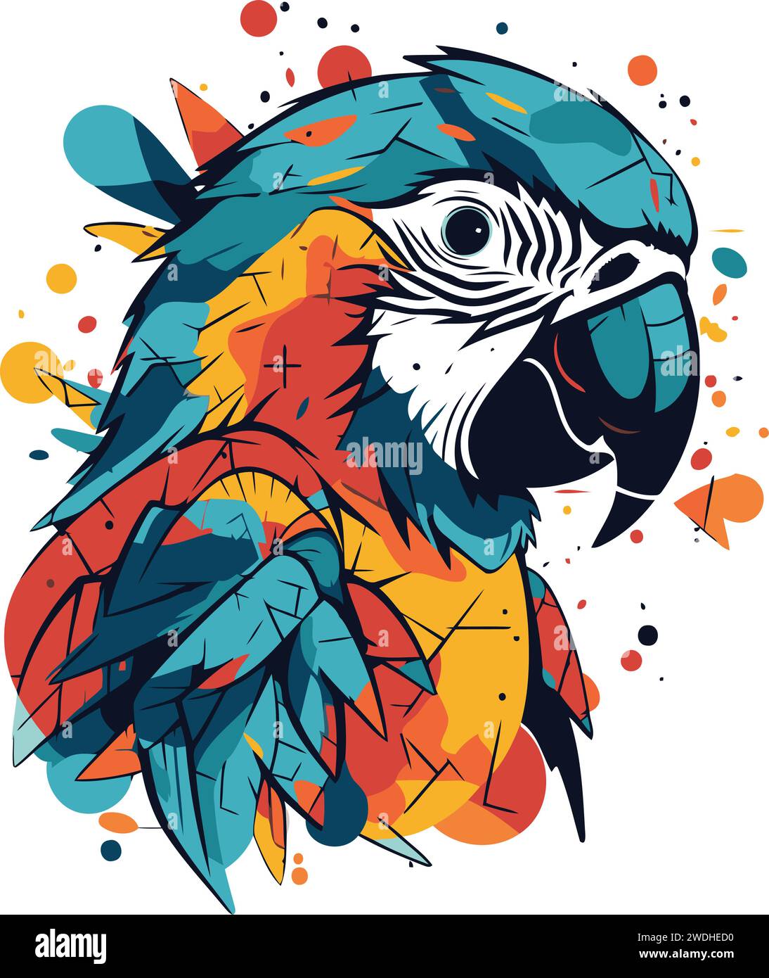 Macaw Tattoos | TikTok