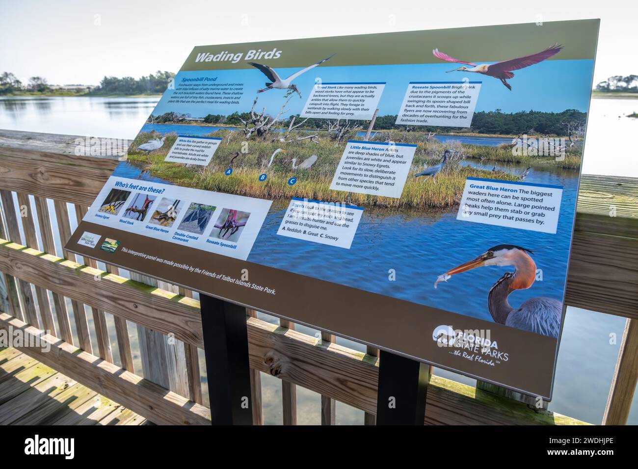 Birdwatching station along the Spoonbill Pond boardwalk at Big Talbot Island State Park along Florida A1A Scenic & Historic Coastal Byway. (USA) Stock Photo