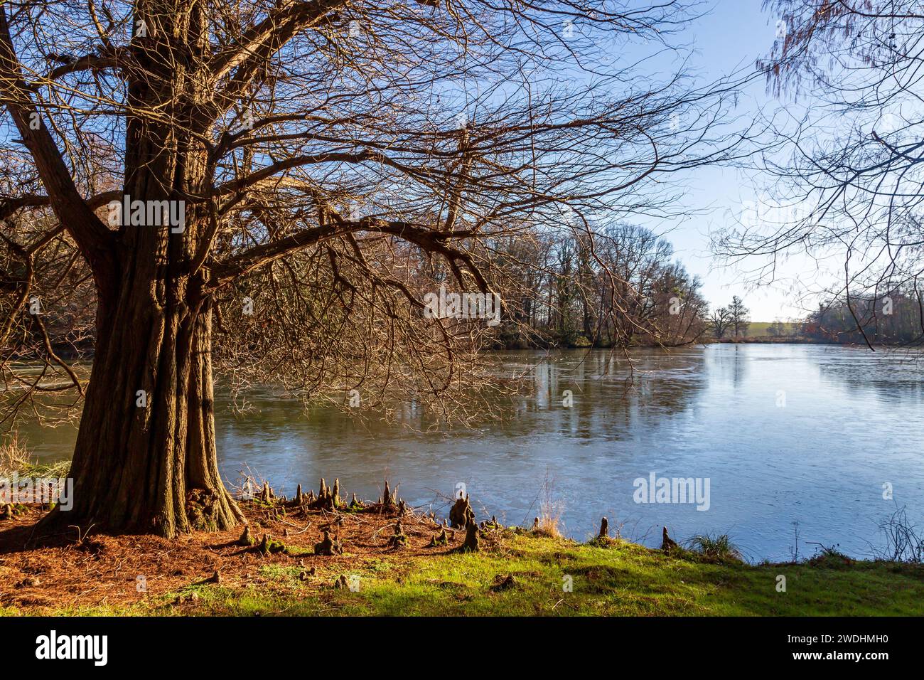 Colorful trees around lake hi-res stock photography and images - Alamy