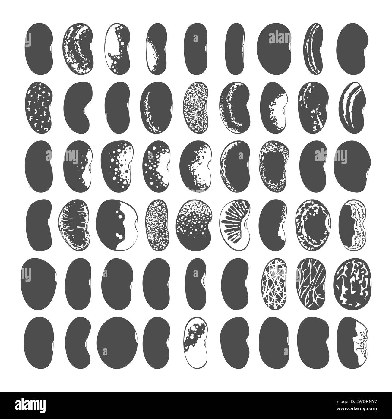Set of black and white illustrations with green beans, kidney beans