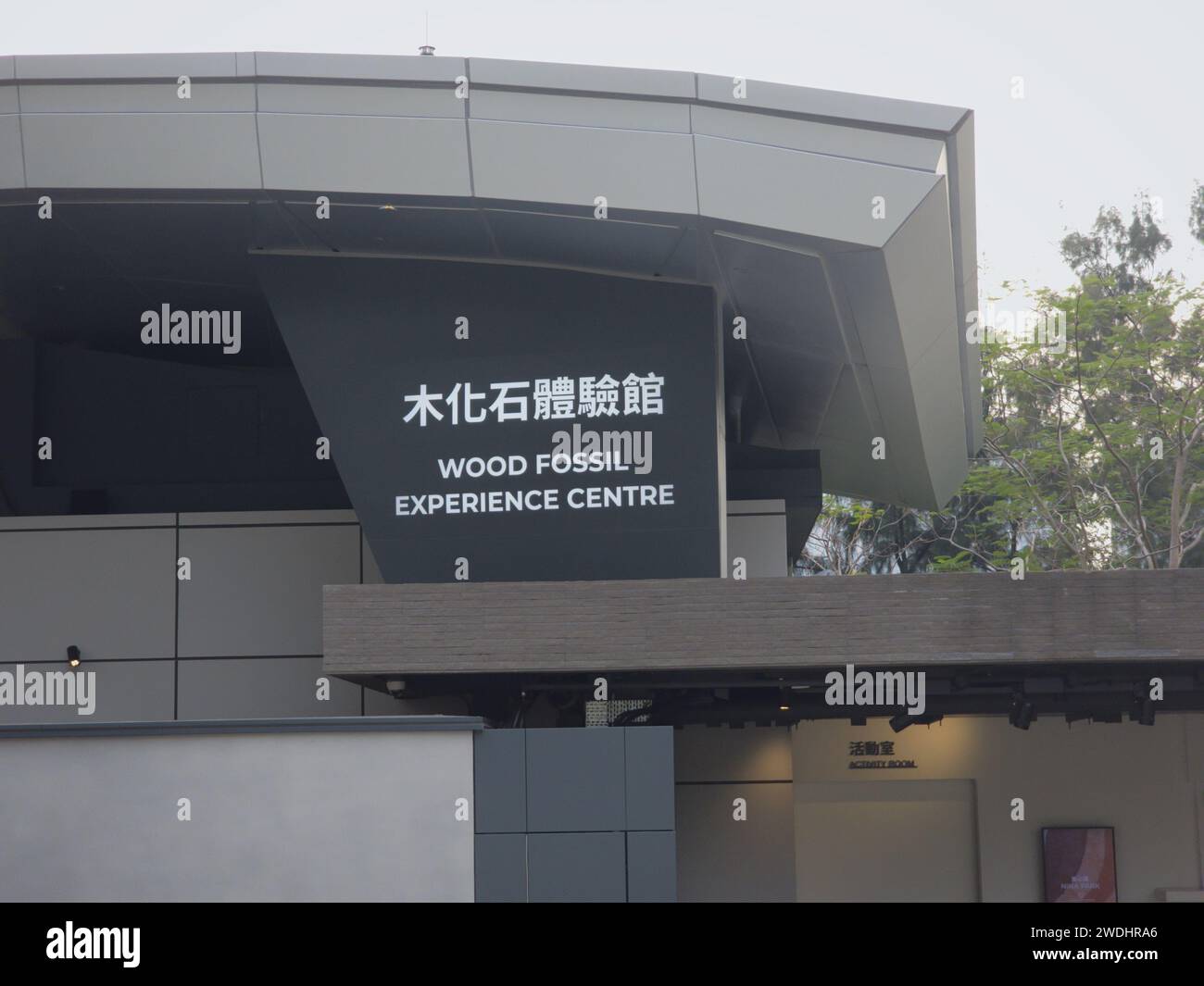 Hong Kong, China January 11 2024 Facade of Wood Fossil Experience