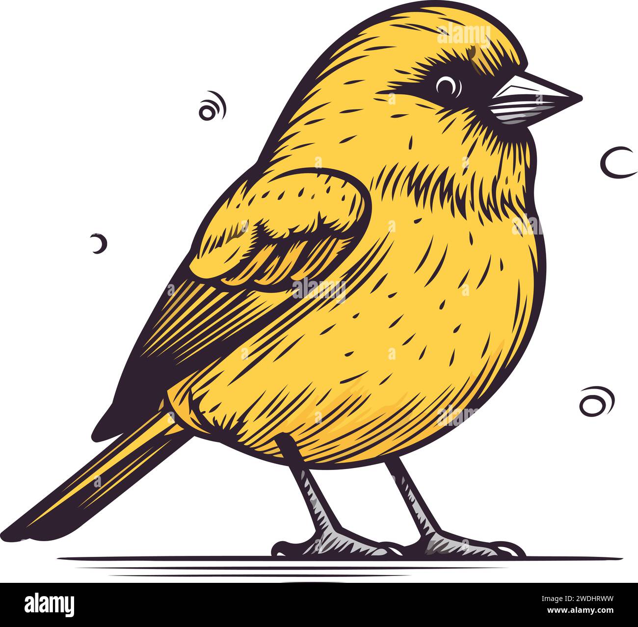 Cartoon goldfinch bird isolated on white background. Vector