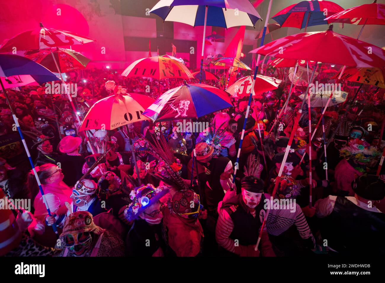 Carnival gives donald one year extension