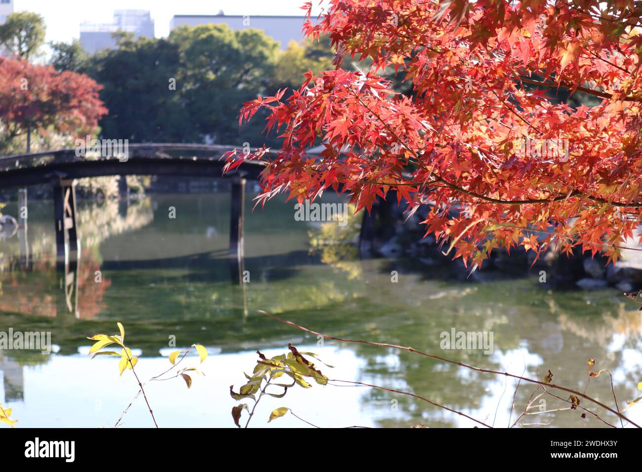 Ingetsu Pond, Shinsetsu Bridge and autumn leaves in Shosei-en Garden, Kyoto, Japan Stock Photo