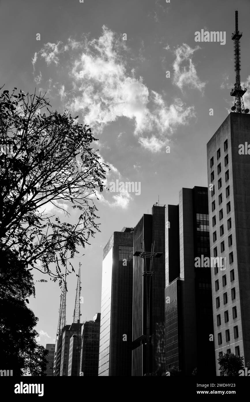 Skyscrapers of Avenida Paulista in Black and White - São Paulo, Brazil Stock Photo