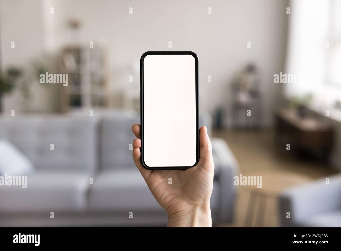 Unknown female hand holding smartphone with white mockup blank screen ...