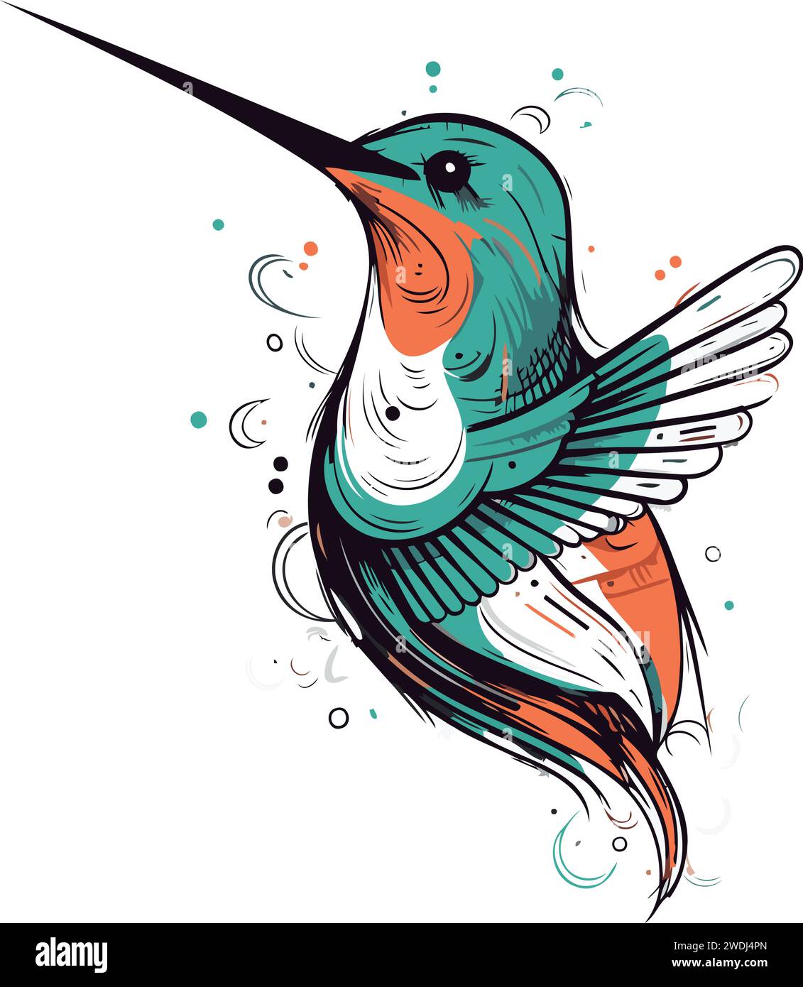 Hummingbird vector illustration. Hand drawn hummingbird in cartoon ...