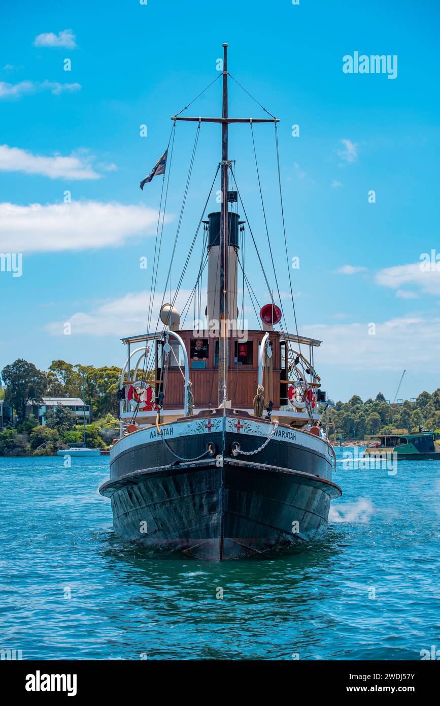 The coal fired, 1902 steam tug Waratah, makes its way from its home with the Sydney Heritage Fleet in Roselle Bay, towards Pyrmont in Sydney Harbour Stock Photo