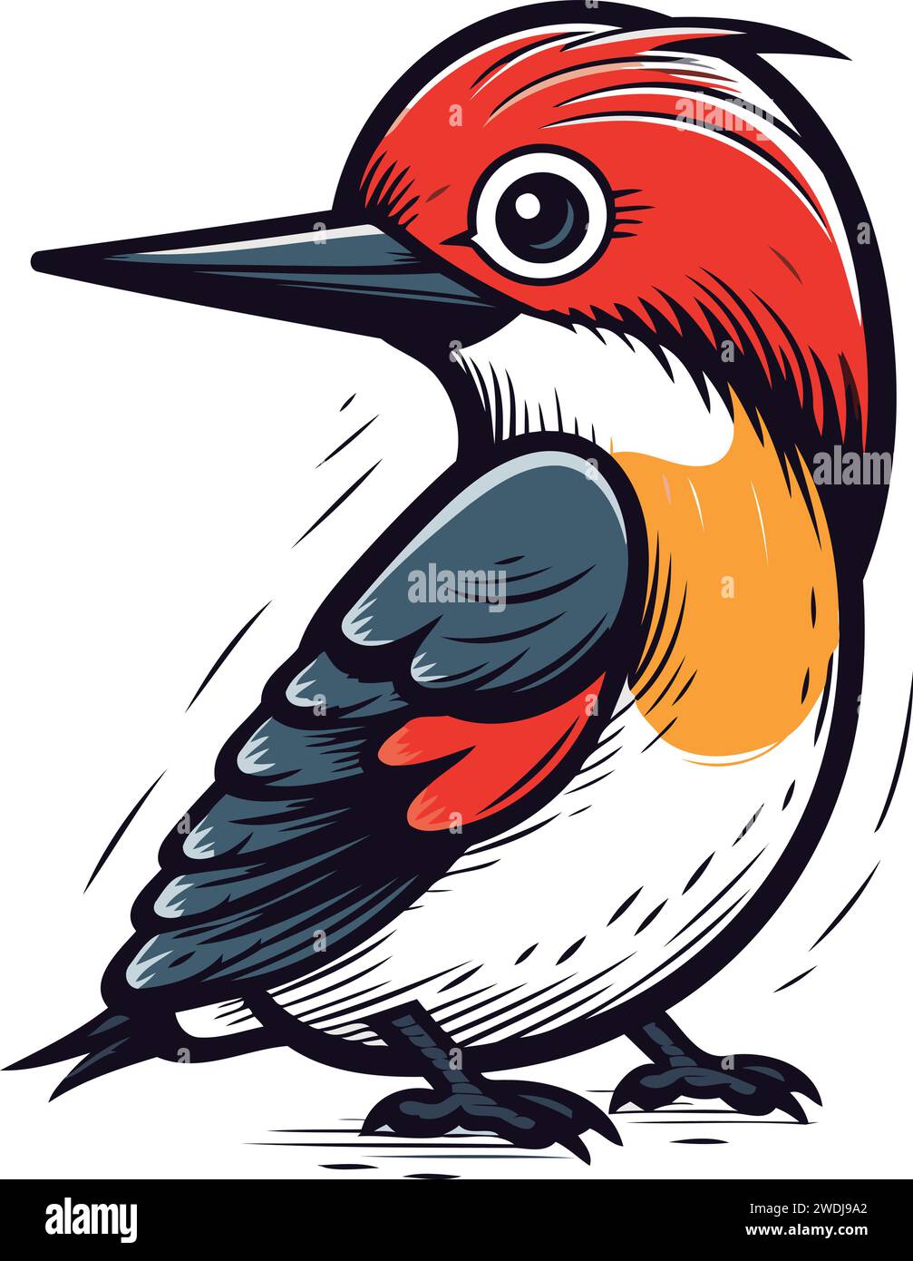 Red headed Woodpecker. Vector illustration on white background Stock