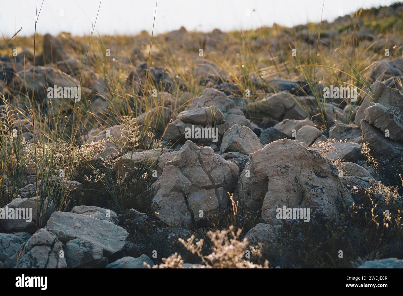 Detail of karst erosion on the coast of Adriatic Sea in Croatia Stock Photo