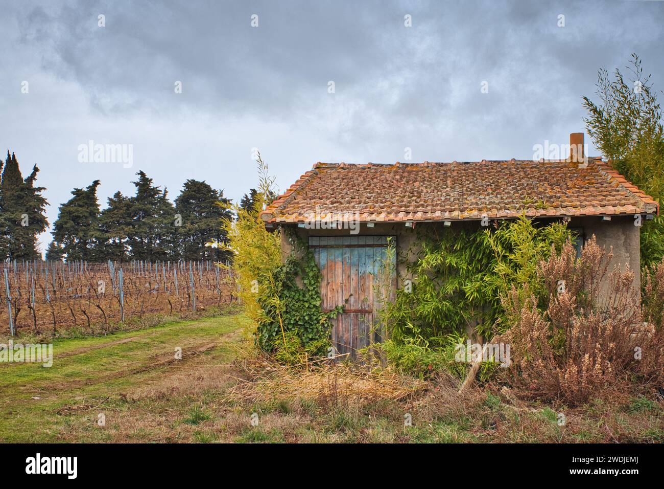 Shead Rundown Rundown shed hi-res stock photography and images - Alamy