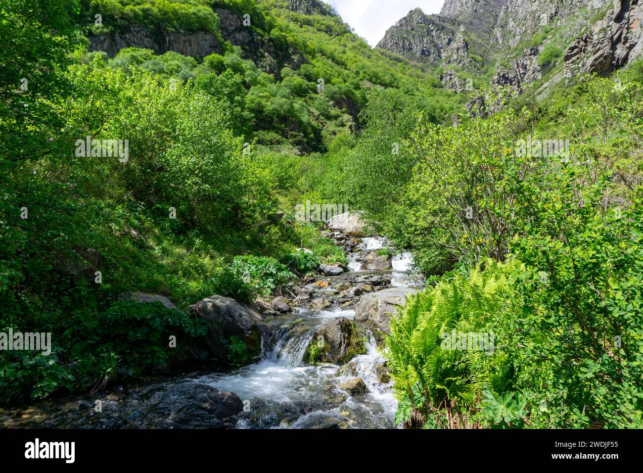 stream flows down the slopes of a mountain range in Georgia, Eastern Europe Stock Photo