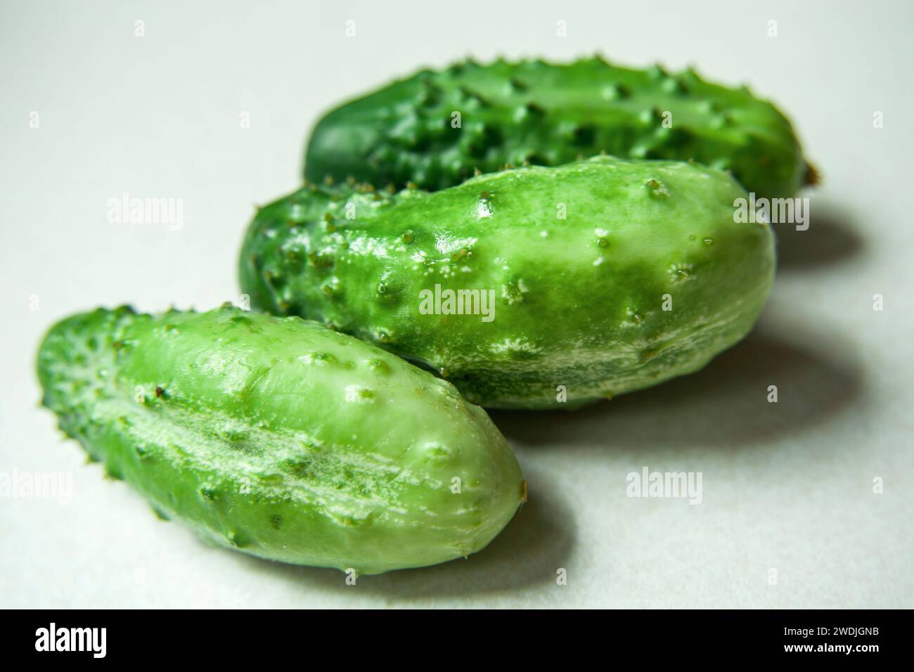 Green cucumbers lie on a light background Stock Photo