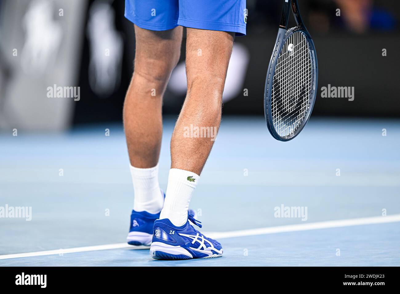 Tennis Schedule Today Dubai 2025, Rio Open & other tournaments