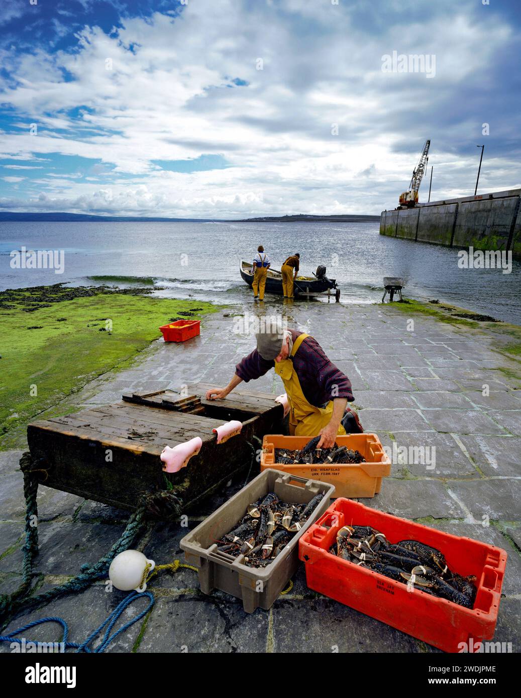 Sorting out the catch of Lobster at Inishmaan, Aran Islands, County Galway, Ireland Stock Photo