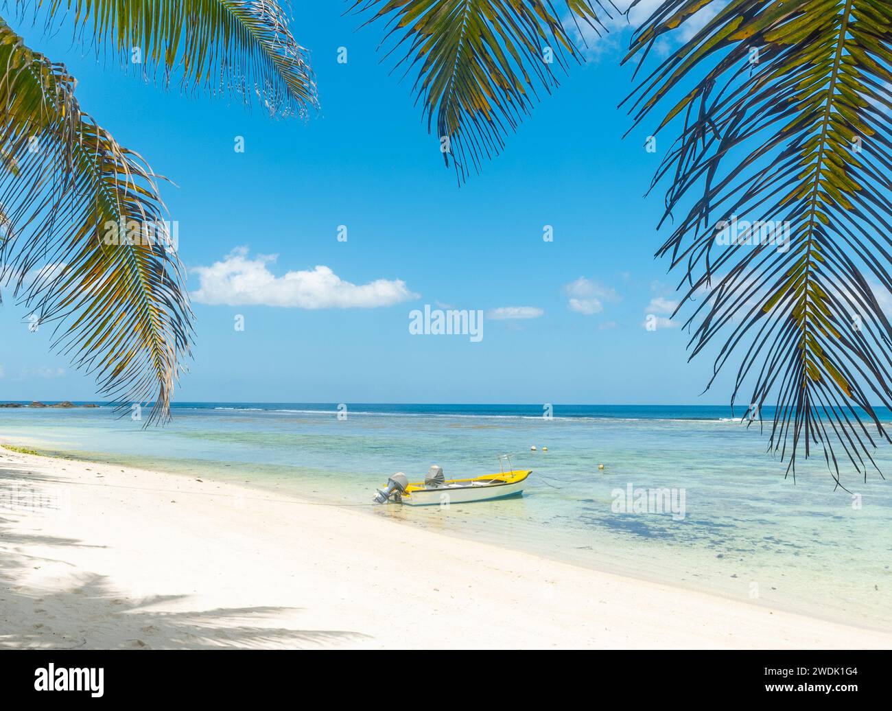 Wooden boat and palm trees in Anse Forbans beach. Mahe island, Seychelles Stock Photo