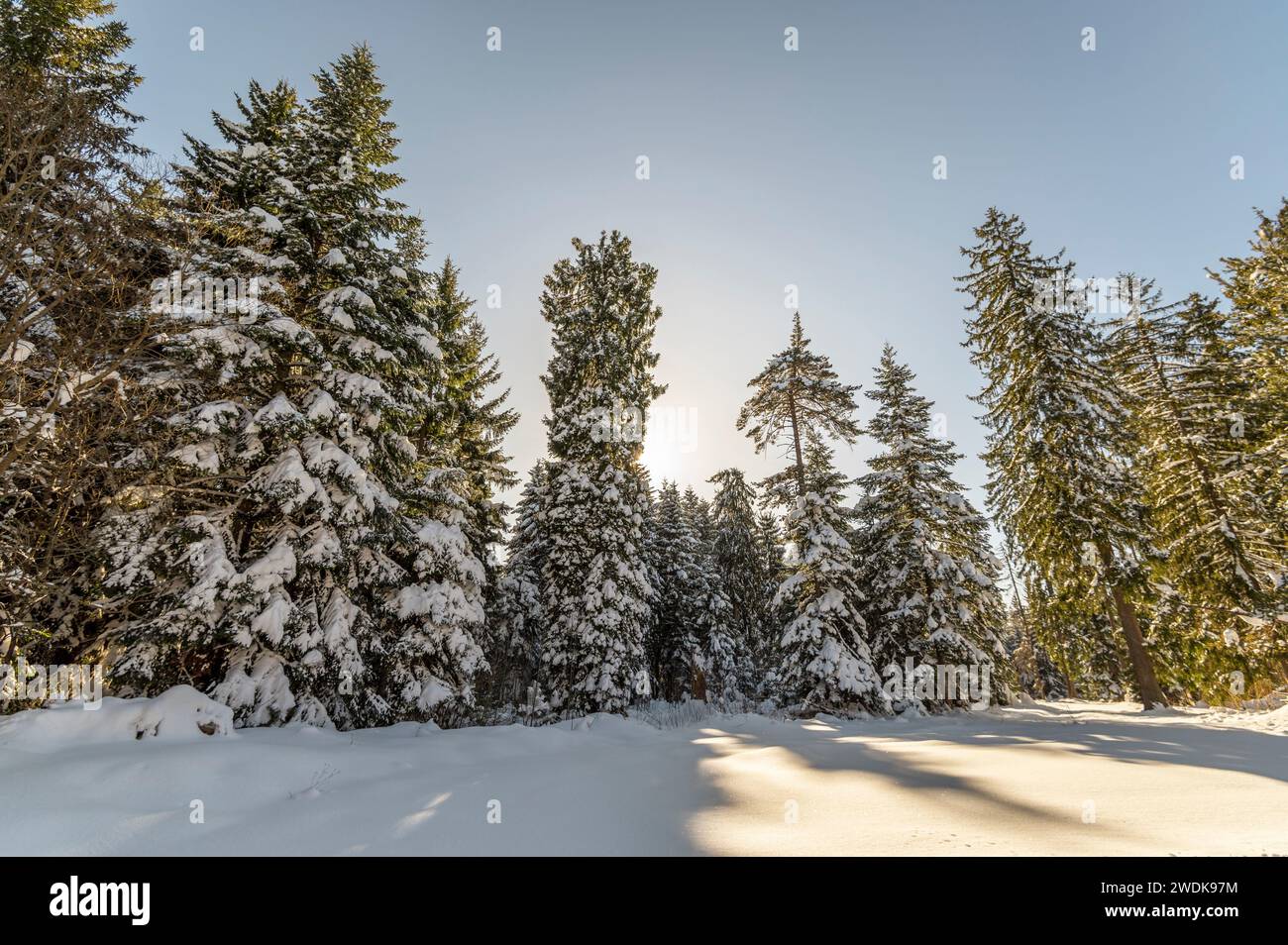 Winter landscape of Bulgarian mountains Stock Photo - Alamy