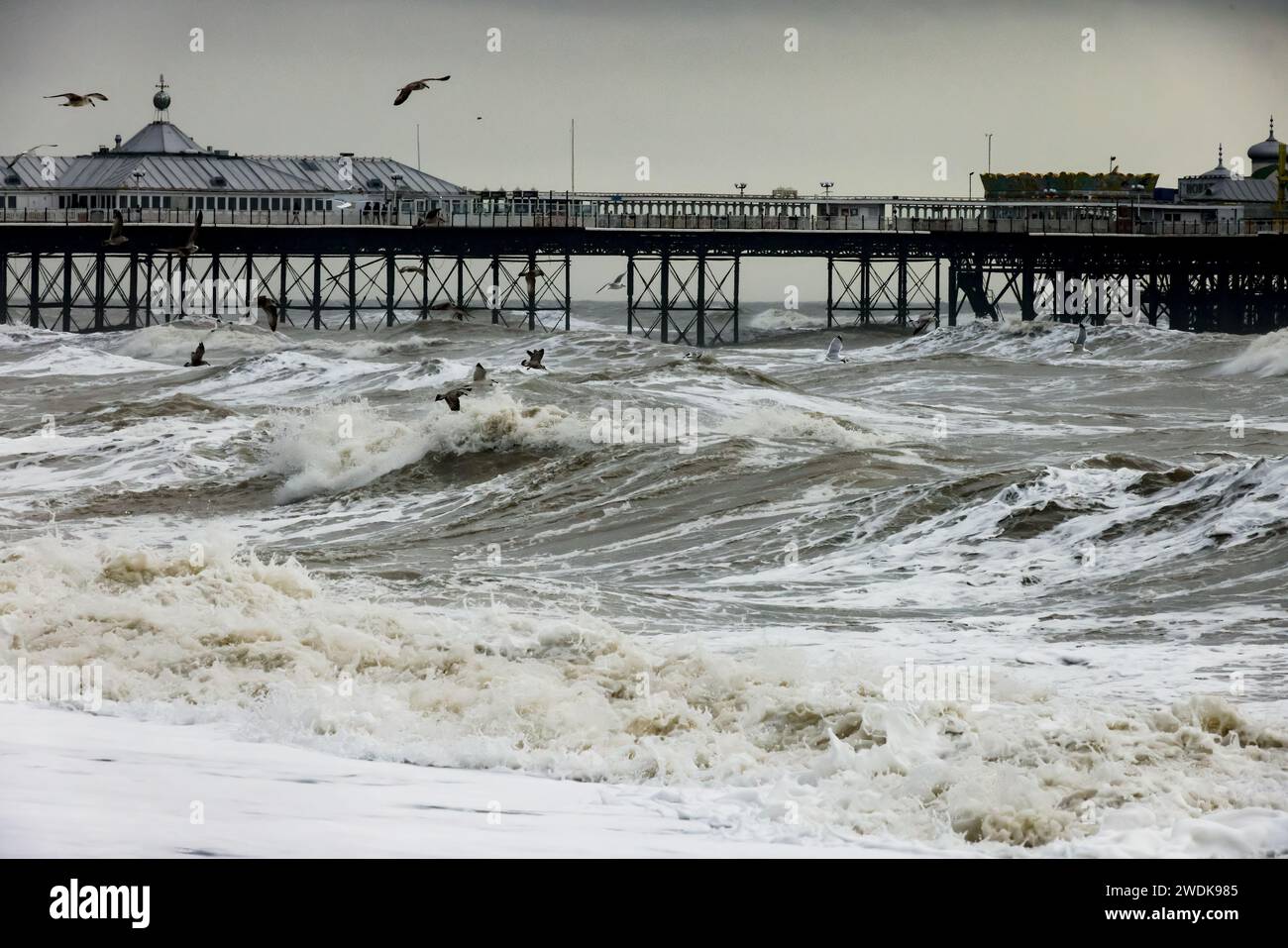 Brighton Beach , City of Brighton & Hove, East Sussex, UK. The Brighton Palace Pier battered by Storm Isha at high tide during the beginning of Storm Isha hitting the south coast at Brighton & Hove. 21st January 2024. David Smith/Alamy Live News Stock Photo