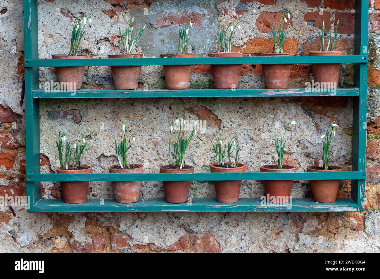 Greys court national trust hires stock photography and images Alamy