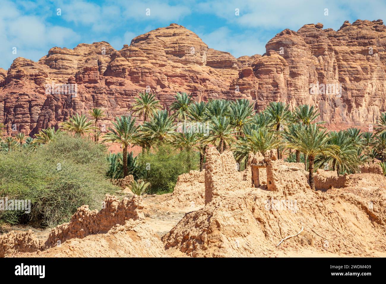 Al Ula ruined old town streets with palms along the road, Saudi Arabia Stock Photo