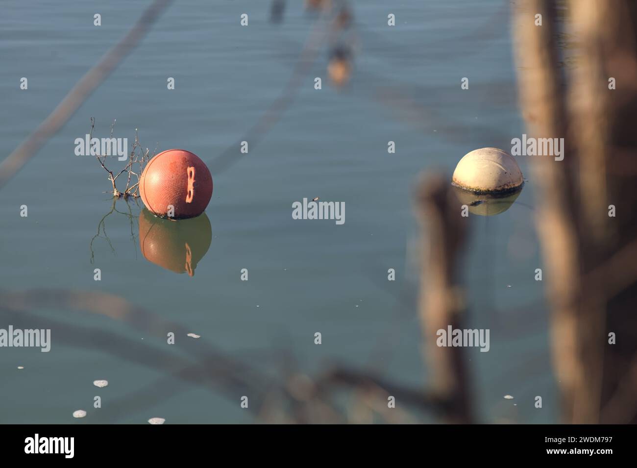 Still float hi-res stock photography and images - Page 2 - Alamy