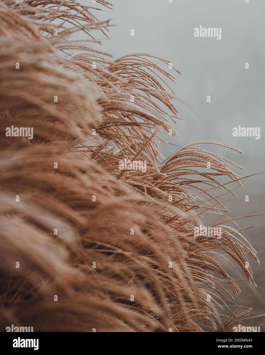 Mesmerizing movement hi-res stock photography and images - Alamy