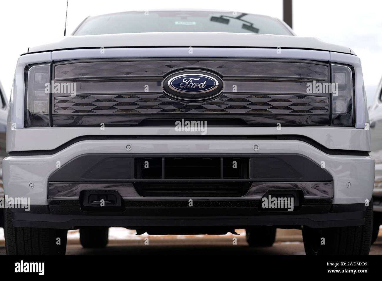 Unsold 2024 F150 Lightning electric pickup truck sits in a long row at