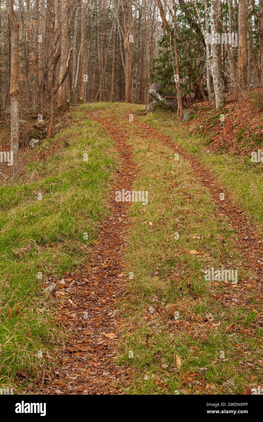 Old Sugarlands Trail in the Great Smoky Mountains National Park Stock Photo